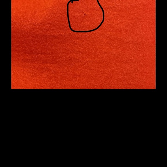 ❌SOLD❌BCBGMaxAzria Sofia Pleated Maxi Skirt Red size XS - Picture 16 of 16